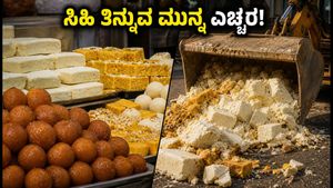 ದೀಪಾವಳಿ ಸಿಹಿ ತಿನ್ನುವ ಮುನ್ನ ಎಚ್ಚರ! ದೆಹಲಿಯಲ್ಲಿ 4,000 ಕೆಜಿ ಕಳಪೆ ಆಹಾರ ಜಪ್ತಿ, ನಿಮ್ಮ ಆರೋಗ್ಯಕ್ಕೆ ಅಪಾಯವೇ?