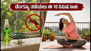 ದೆಹಲಿಯಲ್ಲಿ ಹೆಚ್ಚುತ್ತಿರುವ ಡೆಂಗ್ಯೂ ಆತಂಕ: ಸೊಳ್ಳೆ ನಿಯಂತ್ರಣಕ್ಕೆ ಬೆಳಗಿನ 10 ನಿಮಿಷದ ಸಿಂಪಲ್ ರೂಟಿನ್!