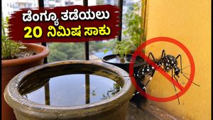 ದೆಹಲಿಯಲ್ಲಿ ಡೆಂಗ್ಯೂ ಭೀತಿ: ನಿಮ್ಮ ಮನೆಯನ್ನು ಸೊಳ್ಳೆ ಮುಕ್ತವಾಗಿಸಲು 20 ನಿಮಿಷಗಳ ಈ ಚೆಕ್‌ಲಿಸ್ಟ್ ಬಳಸಿ