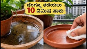 ಡೆಂಗ್ಯೂ ಭೀತಿ: ನಿಮ್ಮ ಬಾಲ್ಕನಿಯಲ್ಲಿ ಸೊಳ್ಳೆಗಳ ಸಂತಾನೋತ್ಪತ್ತಿ ತಡೆಯಲು 10 ನಿಮಿಷದ ಸಿಂಪಲ್ ಟಿಪ್ಸ್!