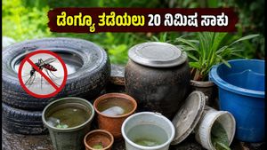 ಡೆಂಗ್ಯೂ ಭೀತಿ: ಮಳೆಗಾಲದ ಮುನ್ನ ಸೊಳ್ಳೆಗಳ ಸಂತಾನೋತ್ಪತ್ತಿ ತಡೆಯಲು 20 ನಿಮಿಷದ ಈ ಕೆಲಸ ಮಾಡಿ