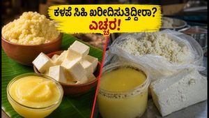 ಹಬ್ಬದ ಸಿಹಿ ಖರೀದಿಸುವ ಮುನ್ನ ಎಚ್ಚರ! FSSAI ದಾಳಿ: ಕಳಪೆ ಖೋವಾ, ಪನ್ನೀರ್ ಪತ್ತೆ ಹೇಗೆ?