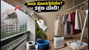 ದೆಹಲಿಯಲ್ಲಿ ಭಾರಿ ಮಳೆ: ನಿಮ್ಮ ಮನೆಯಲ್ಲಿ ನೀರು ಸೋರುವುದನ್ನು ತಡೆಯಲು 30 ನಿಮಿಷದ ತಕ್ಷಣದ ಸುರಕ್ಷತಾ ಕ್ರಮಗಳು