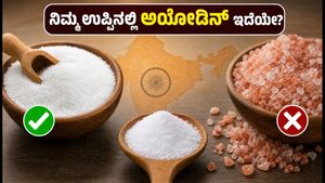 ಅಡುಗೆ ಮನೆಯ ಉಪ್ಪಿನಲ್ಲಿ ಅಯೋಡಿನ್ ಇದೆಯೇ? ಥೈರಾಯ್ಡ್ ಆರೋಗ್ಯಕ್ಕೆ ಈ ತಪ್ಪು ಮಾಡಬೇಡಿ!