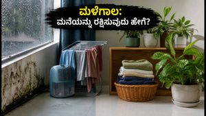 ಈಶಾನ್ಯ ಮಾನ್ಸೂನ್ ಆರಂಭ: ಮಳೆಗಾಲದ ತೇವಾಂಶದಿಂದ ಮನೆಯನ್ನು ರಕ್ಷಿಸಲು 30 ನಿಮಿಷಗಳ ಸಿಂಪಲ್ ಪ್ಲಾನ್