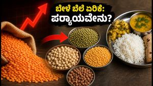 ಬೇಳೆಕಾಳು ಬೆಲೆ ಏರಿಕೆ: ₹20ಕ್ಕಿಂತ ಕಡಿಮೆ ವೆಚ್ಚದಲ್ಲಿ ಪ್ರೋಟೀನ್ ಪಡೆಯುವುದು ಹೇಗೆ?