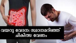  ആദ്യം അറിയണം വയറുവേദന എത് തരമെന്ന്, പിന്നീടറിയാം അതിന്റെ കാരണവും രോഗാവസ്ഥയും