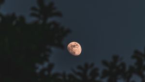 2026-ലെ ആദ്യ ചന്ദ്രഗ്രഹണം: ഹോളി ദിനത്തിലോ ആദ്യ ഗ്രഹണം? അറിയാം തീയ്യതിയും സമയവും