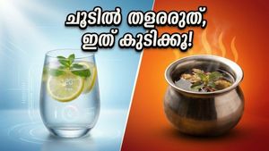 ഡൽഹിയിലെ കൊടുംചൂട്; വെറും വെള്ളം കുടിച്ചാൽ പോരാ, ഈ പാനീയങ്ങൾ കൂടി ശീലമാക്കൂ!