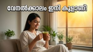 കത്തുന്ന വെയിലും പൊടിക്കാറ്റും; ഈ നാടൻ വിദ്യകൾ പരീക്ഷിച്ചാൽ വേനൽക്കാലം കൂളാക്കാം!