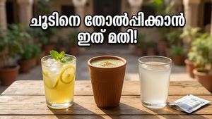 കടുത്ത ചൂടിൽ തളരാതിരിക്കാൻ ഒആർഎസ് മതിയോ? ഈ നാടൻ പാനീയങ്ങൾ പരീക്ഷിക്കൂ!