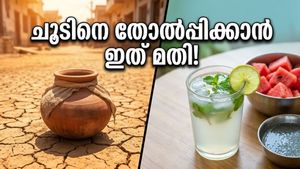 കത്തുന്ന വെയിലത്ത് തളരാതിരിക്കാൻ ഈ നാടൻ പാനീയങ്ങൾ പരീക്ഷിച്ചു നോക്കൂ!