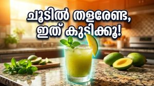 കത്തുന്ന വെയിലത്ത് തളരാതിരിക്കാൻ ഈ നാടൻ പാനീയങ്ങൾ കൈയിലുണ്ടോ? വേനൽച്ചൂടിനെ തോൽപ്പിക്കാം!