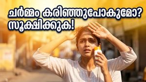 ഉഷ്ണതരംഗം കടുക്കുന്നു; ചർമ്മം കരിഞ്ഞുപോകുമോ? ഈ 'സ്വെറ്റ് പ്രൂഫ്' കരുതലുകൾ മറക്കരുത്!