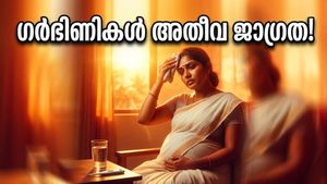 കടുത്ത ഉഷ്ണതരംഗം വരുന്നു; ഗർഭിണികൾ അറിയാൻ, കുഞ്ഞിന്റെ സുരക്ഷയ്ക്കായി ഈ മുൻകരുതലുകൾ മറക്കരുത്!