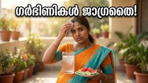 കടുത്ത വേനൽ; ഗർഭിണികൾ അറിയാതെ പോകരുത് ഈ വലിയ അപകടങ്ങൾ!