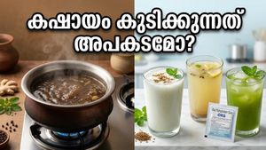 മെയ് മാസത്തിലെ കഠിനമായ ചൂട്: കഷായങ്ങൾ കുടിക്കുന്നത് അപകടമോ? ഈ പാനീയങ്ങൾ ശീലമാക്കൂ, ഉന്മേഷത്തോടെയിരിക്കാം!