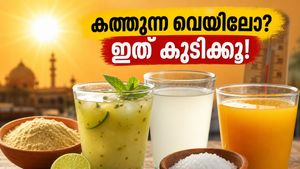 കത്തുന്ന വെയിലിൽ തളരാതിരിക്കാൻ ഈ നാടൻ പാനീയങ്ങൾ മതി; വേനൽക്കാലം ഇനി കൂളായി നേരിടാം!