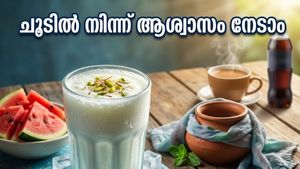 കഠിനമായ വേനൽച്ചൂട്; തളരാതിരിക്കാൻ ഈ പാനീയങ്ങൾ പരീക്ഷിച്ചു നോക്കൂ!
