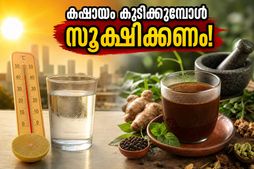 വേനൽച്ചൂടിൽ കഷായം കുടിക്കുന്നത് അപകടമാണോ? ദാഹം മാറ്റാൻ ഈ പാനീയങ്ങൾ പരീക്ഷിക്കൂ, ഉന്മേഷം ഉറപ്പ്!