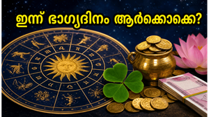 കരിയറിൽ വൻ കുതിച്ചുചാട്ടം: 2026 മെയ് 29-ലെ നക്ഷത്രഫലം, ഈ നക്ഷത്രക്കാർക്ക് ഇന്ന് ഭാഗ്യദിനം!