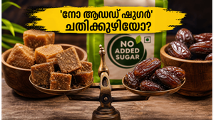 'നോ ആഡഡ് ഷുഗർ' എന്ന് കണ്ടാൽ കണ്ണുമടച്ച് വാങ്ങല്ലേ; നിങ്ങളുടെ തടി കുറയ്ക്കാനുള്ള ശ്രമം പാഴാക്കുന്ന ആ ചതിക്കുഴികൾ ഇതാ!