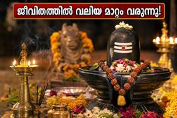 ജീവിതത്തിൽ വലിയ മാറ്റങ്ങൾ വരാൻ പോകുന്നു! ഗുരു പ്രദോഷ വ്രതത്തിലെ ഈ അപൂർവ്വ യോഗം നിങ്ങൾ അറിഞ്ഞോ?