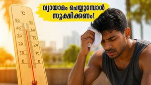 കഠിനമായ ഉഷ്ണതരംഗം: ഈ തെറ്റുകൾ വരുത്തിയാൽ വ്യായാമം നിങ്ങളുടെ ആരോഗ്യത്തെ തകർക്കും, ശ്രദ്ധിക്കുക!