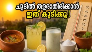 കടുത്ത ചൂടിൽ തളരാതിരിക്കാൻ വെള്ളം മാത്രം പോരാ; ഈ നാടൻ പാനീയങ്ങൾ പരീക്ഷിച്ചു നോക്കൂ!