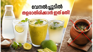 കഠിനമായ വേനൽച്ചൂടിൽ തളരാതിരിക്കാൻ ഈ പാനീയങ്ങൾ മതി; ഒപ്പം ശ്രദ്ധിക്കേണ്ട സുരക്ഷാ മുൻകരുതലുകൾ ഇതാ!