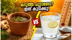 കടുത്ത ചൂടിൽ തളരാതിരിക്കാൻ വെള്ളം മാത്രം പോരാ; ഈ പാനീയങ്ങൾ കരുതിയാൽ വേനൽക്കാലം സുരക്ഷിതമാക്കാം!