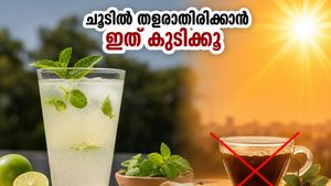 കഠിനമായ ചൂടിൽ തളരാതിരിക്കാൻ ഈ പാനീയങ്ങൾ മതി; ഉഷ്ണതരംഗത്തെ നേരിടാൻ നിങ്ങൾ തയ്യാറാണോ?