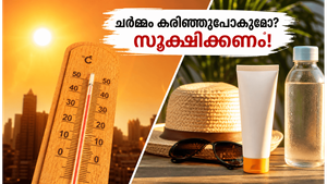 കടുത്ത ചൂടിൽ ചർമ്മം കരിഞ്ഞുപോകുമോ? സൂര്യതാപത്തിൽ നിന്ന് രക്ഷനേടാൻ ഈ കാര്യങ്ങൾ മറക്കരുത്