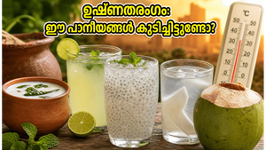 കടുത്ത ഉഷ്ണതരംഗം: ശരീരത്തെ തണുപ്പിക്കാൻ അടുക്കളയിലുള്ള ഈ അത്ഭുത പാനീയങ്ങൾ പരീക്ഷിച്ചു നോക്കൂ!
