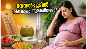 കഠിനമായ വേനൽച്ചൂടിൽ ഗർഭകാലം സുരക്ഷിതമാക്കാം; അമ്മയും കുഞ്ഞും അറിയേണ്ട അത്യാവശ്യ കാര്യങ്ങൾ ഇതാ!