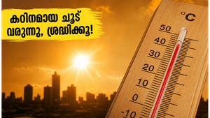 മെയ് 25 മുതൽ രോഹിണി കാർത്തി: കഠിനമായ ചൂടിൽ നിന്ന് രക്ഷനേടാൻ ഈ മുൻകരുതലുകൾ അറിഞ്ഞിരിക്കൂ!