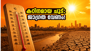 രോഹിണി ഞാറ്റുവേല: കഠിനമായ ചൂടിലേക്ക് രാജ്യം, ഈ 9 ദിവസങ്ങളിൽ ശ്രദ്ധിച്ചില്ലെങ്കിൽ പണി പാളും!