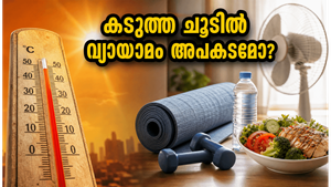 കടുത്ത ചൂടിൽ വ്യായാമം ചെയ്യുന്നത് അപകടകരമോ? വീട്ടിലിരുന്ന് സുരക്ഷിതമായി തടി കുറയ്ക്കാൻ ഈ വഴികൾ പരീക്ഷിക്കൂ!