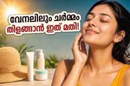 വേനൽച്ചൂടിൽ ചർമ്മം വാടിപ്പോകുന്നുണ്ടോ? ഈ ചെറിയ മാറ്റങ്ങൾ വരുത്തിയാൽ തിളക്കം നിലനിർത്താം, അറിയേണ്ടതെല്ലാം