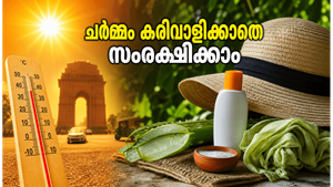 വെയിലത്ത് ഇറങ്ങും മുൻപ് ഇതൊന്നു ശ്രദ്ധിക്കൂ, ചർമ്മം കരിവാളിക്കാതെ സംരക്ഷിക്കാൻ ഈ പൊടിക്കൈകൾ മതി