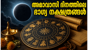 2026 ജൂൺ 14 നക്ഷത്രഫലം: അമാവാസി ദിനത്തിൽ ഭാഗ്യം തെളിയുന്നവർ ഇവർ, കരിയറിൽ വൻ മാറ്റങ്ങൾ!