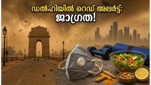 ഡൽഹിയിൽ റെഡ് അലർട്ട്: പൊടിക്കാറ്റ് ഭീഷണി, പുറത്തിറങ്ങുമ്പോൾ ജീവൻ രക്ഷിക്കാൻ ഈ മുൻകരുതലുകൾ എടുക്കൂ!
