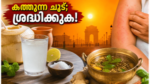 ഡൽഹിയിൽ റെക്കോർഡ് ചൂട്; ഉഷ്ണതരംഗത്തെ നേരിടാനും ശരീരം തണുപ്പിക്കാനും വീട്ടിൽ തന്നെ ചെയ്യാം ഈ കാര്യങ്ങൾ