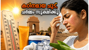 ഡൽഹിയിൽ 51 ഡിഗ്രി ചൂട്, വിയർപ്പുകുരുവും ചർമ്മപ്രശ്നങ്ങളും അകറ്റാൻ ഈ ലളിതമായ വഴികൾ പരീക്ഷിക്കൂ