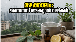 ഡൽഹിയിൽ മഴയെത്തി: സൈനസ്, തൊണ്ടവേദന എന്നിവയെ തുരത്താൻ ഈ വീട്ടുവൈദ്യങ്ങൾ പരീക്ഷിക്കൂ!
