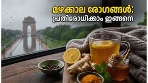 ഡൽഹിയിൽ യെല്ലോ അലർട്ട്: മഴക്കാലത്തെ അസുഖങ്ങളെ പേടിക്കണ്ട, ഈ വീട്ടുവൈദ്യങ്ങൾ മതി!