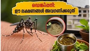 ഡൽഹിയിൽ ഡെങ്കിപ്പനി പടരുന്നു; ഈ ലക്ഷണങ്ങൾ അവഗണിച്ചാൽ അപകടം, വീട്ടിൽ ചെയ്യേണ്ട മുൻകരുതലുകൾ ഇതാ