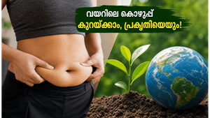 വയറിലെ കൊഴുപ്പ് കുറയ്ക്കാൻ ഈ 10 മിനിറ്റ് ശീലം മതി; ഒപ്പം പ്രകൃതിയെയും സംരക്ഷിക്കാം!