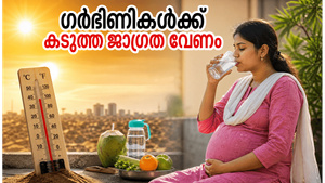 ഉഷ്ണതരംഗം കടുക്കുന്നു: ഗർഭിണികൾ കുഞ്ഞിന്റെ സുരക്ഷ ഉറപ്പാക്കാൻ ഈ കാര്യങ്ങൾ ഉടൻ ശ്രദ്ധിക്കൂ!