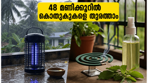 മഴക്കാലത്ത് കൊതുകുകളെ തുരത്താം: 48 മണിക്കൂറിനുള്ളിൽ വീട് സുരക്ഷിതമാക്കാൻ ഈ എളുപ്പവഴികൾ പരീക്ഷിക്കൂ!